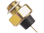 Interruptor Cebolinha Óleo 3-RHO para Ford Del Rey 1.6 8V CHT 1984 até 1991