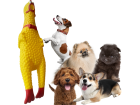 Brinquedo Cães Pet Galinha 15cm Vinil Frango Borracha Apito LUX3133
