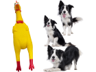 Brinquedo Cães Pet Galinha 39cm Vinil Frango Borracha Apito